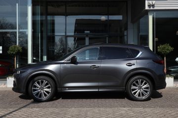 Thumbnail 15