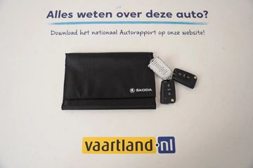 Voertuigafbeelding 33