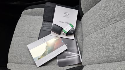 Voertuigafbeelding 33