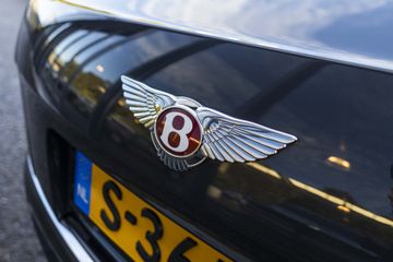 Voertuigafbeelding 77