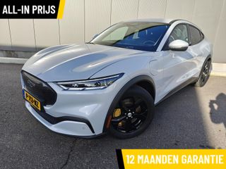 Ford Mustang Mach-E - P-713-NZ - Polisa Lease