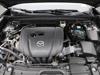 Voertuigafbeelding 37