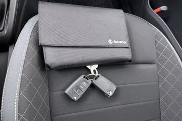 Voertuigafbeelding 29