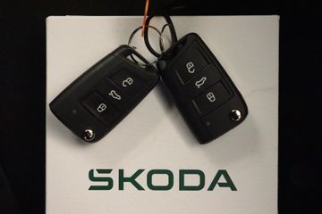 Voertuigafbeelding 13