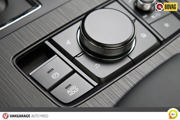 Voertuigafbeelding 39