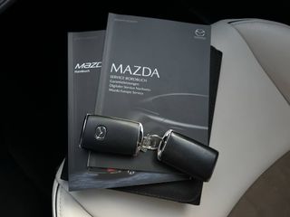 Voertuigafbeelding 31