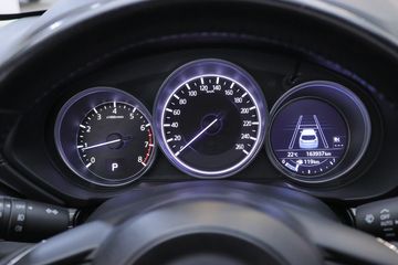 Voertuigafbeelding 31