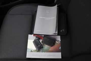 Voertuigafbeelding 29