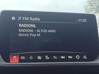 Voertuigafbeelding 29