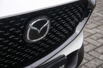 Voertuigafbeelding 33