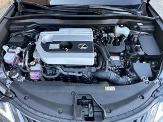 Voertuigafbeelding 33