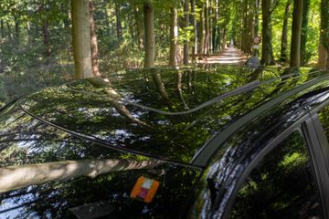 Voertuigafbeelding 56