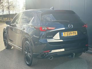 Voertuigafbeelding 10