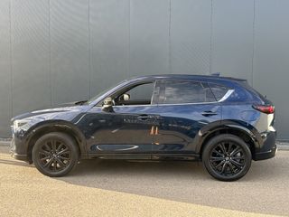 Voertuigafbeelding 11