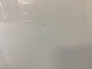 Voertuigafbeelding 68