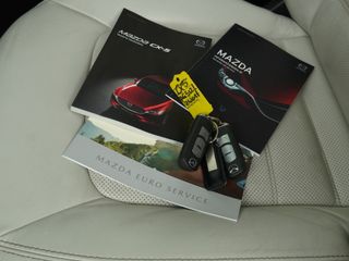 Voertuigafbeelding 31