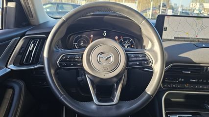 Voertuigafbeelding 16