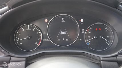 Voertuigafbeelding 30