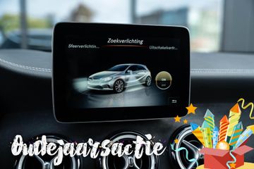 Voertuigafbeelding 42