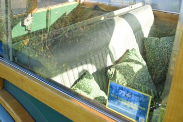 Voertuigafbeelding 13