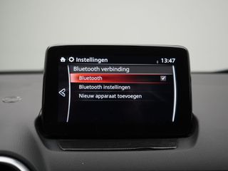 Voertuigafbeelding 13