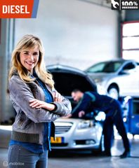 Voertuigafbeelding 13