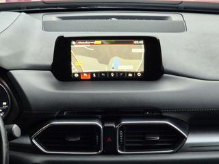 Voertuigafbeelding 10