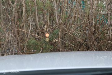 Voertuigafbeelding 16