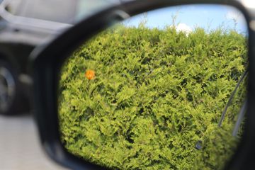 Voertuigafbeelding 67