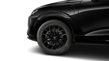 Voertuigafbeelding 16