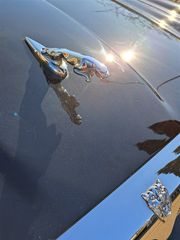 Voertuigafbeelding 51