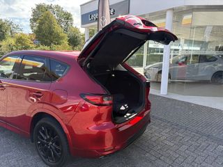 Voertuigafbeelding 5