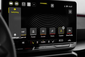 Voertuigafbeelding 39