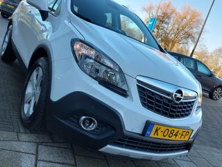 Voertuigafbeelding 41