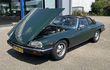 Voertuigafbeelding 39