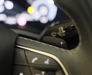 Voertuigafbeelding 31