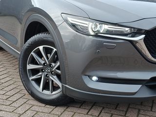 Voertuigafbeelding 16