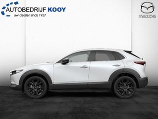 Voertuigafbeelding 4