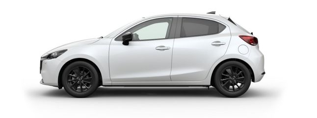 Voertuigafbeelding 2