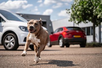 Voertuigafbeelding 25