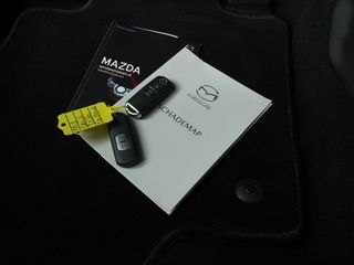 Voertuigafbeelding 29