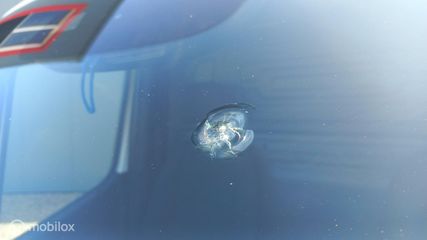 Voertuigafbeelding 1