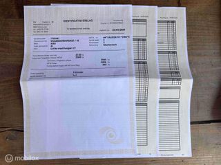 Voertuigafbeelding 66