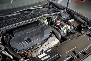 Voertuigafbeelding 13