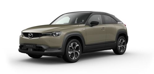 Voertuigafbeelding 1