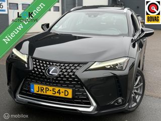 Lexus UX - JRP-54-D - Polisa Lease