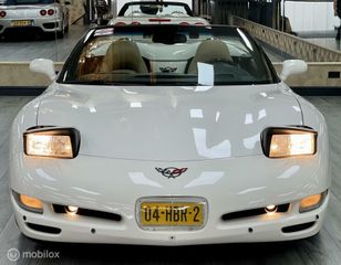 Voertuigafbeelding 6