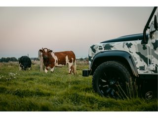 Voertuigafbeelding 40