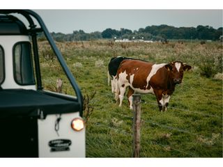 Voertuigafbeelding 43