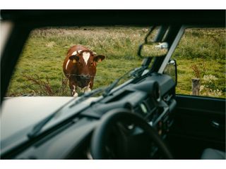 Voertuigafbeelding 45